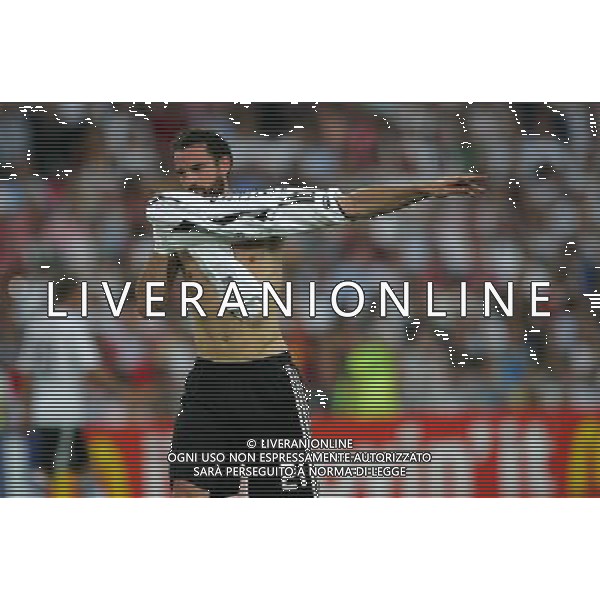 Germania - Turchia 25.06.2008 semifinale Europei nella foto Christoph Metzelder copyright by firo sportphoto/Ag. Aldo Liverani Sas - ITALY ONLY -