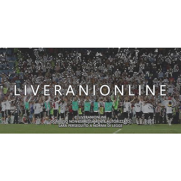 Germania - Turchia 25.06.2008 semifinali Europei nella foto esultanza dei giocatori della germania con La Ola per i tifosi copyright by firo sportphoto/Ag. Aldo Liverani Sas - ITALY ONLY -