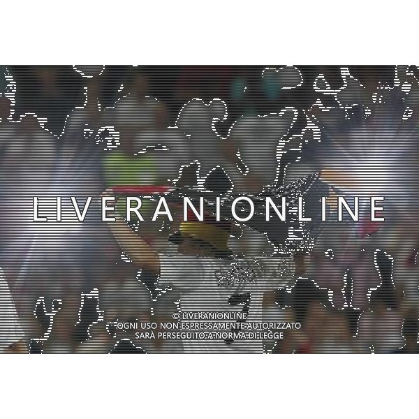 Germania - Turchia 25.06.2008 semifinali Europei nella foto esultanza di Bastian SCHWEINSTEIGER con la bandiera copyright by firo sportphoto/Ag. Aldo Liverani Sas - ITALY ONLY -