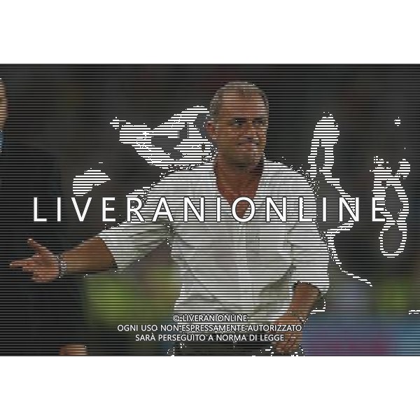 Germania - Turchia 25.06.2008 semifinali Europei nella foto la delusione di Fatih Terim copyright by firo sportphoto/Ag. Aldo Liverani Sas - ITALY ONLY -