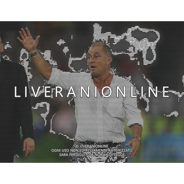 Germania - Turchia 25.06.2008 semifinali Europei nella foto la delusione di Fatih Terim copyright by firo sportphoto/Ag. Aldo Liverani Sas - ITALY ONLY -