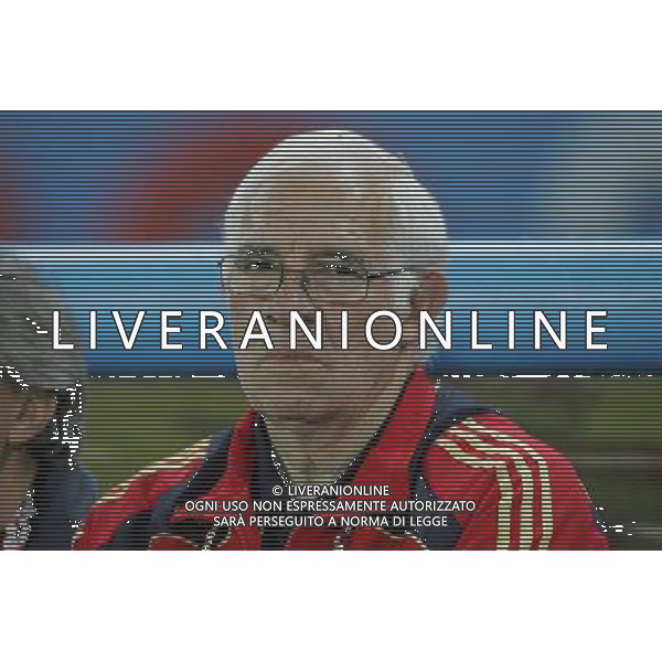 Russia - Spagna Semifinali Europei 26/06/2008 nella foto luis aragones ph luzzani/Ag. Aldo Liverani Sas