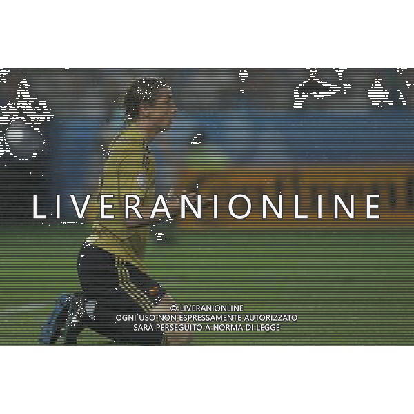 Russia - Spagna Semifinali Europei 26/06/2008 nella foto fernando torres ph luzzani/Ag. Aldo Liverani Sas