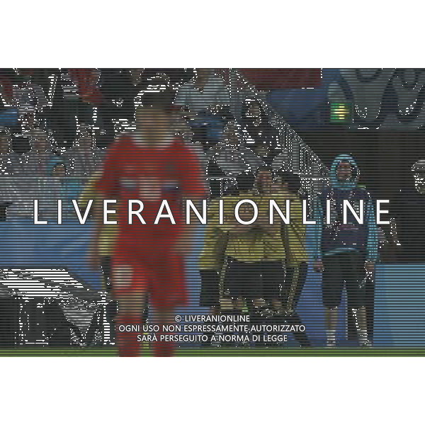 Russia - Spagna Semifinali Europei 26/06/2008 nella foto esultanza dopo il gol di xavi fernandez ph luzzani/Ag. Aldo Liverani Sas