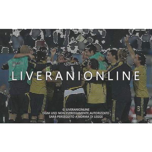 Russia - Spagna Semifinali Europei 26/06/2008 nella foto l\'esultanza dei giocatori della spagna a fine gara ph luzzani/Ag. Aldo Liverani Sas