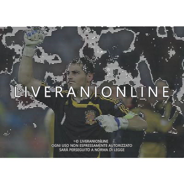 Russia - Spagna Semifinali Europei 26/06/2008 nella foto l\'esultanza dei giocatori della spagna a fine gara - iker casillas ph luzzani/Ag. Aldo Liverani Sas