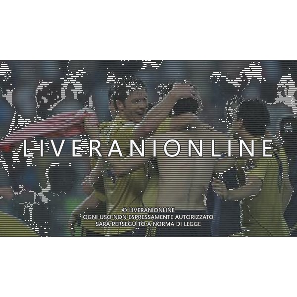 Russia - Spagna Semifinali Europei 26/06/2008 nella foto l\'esultanza dei giocatori della spagna a fine gara - xabi alonso ph luzzani/Ag. Aldo Liverani Sas