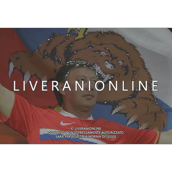 Vienna (AUT) 26-06-2008 Campionato europeo calcio EURO2008 semifinale russia-spagna 0:3 nella foto tifo russia ph marco luzzani/ag aldo liverani s.a.s.