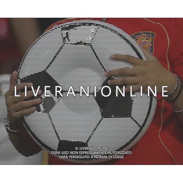 Vienna (AUT) 26-06-2008 Campionato europeo calcio EURO2008 semifinale russia-spagna 0:3 nella foto tifo spagna ph marco luzzani/ag aldo liverani s.a.s.