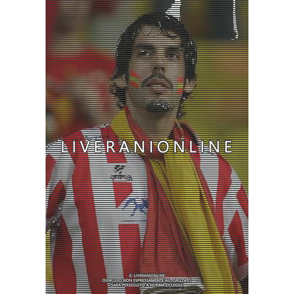 Vienna (AUT) 26-06-2008 Campionato europeo calcio EURO2008 semifinale russia-spagna 0:3 nella foto tifo spagna ph marco luzzani/ag aldo liverani s.a.s.