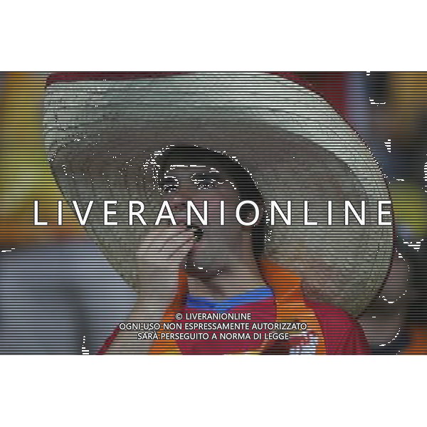 Vienna (AUT) 26-06-2008 Campionato europeo calcio EURO2008 semifinale russia-spagna 0:3 nella foto tifo spagna ph marco luzzani/ag aldo liverani s.a.s.