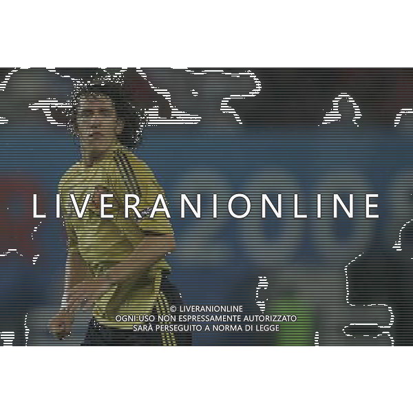 Vienna (AUT) 26-06-2008 Campionato europeo calcio EURO2008 semifinale russia-spagna 0:3 nella foto carles puyol ph marco luzzani/ag aldo liverani s.a.s.