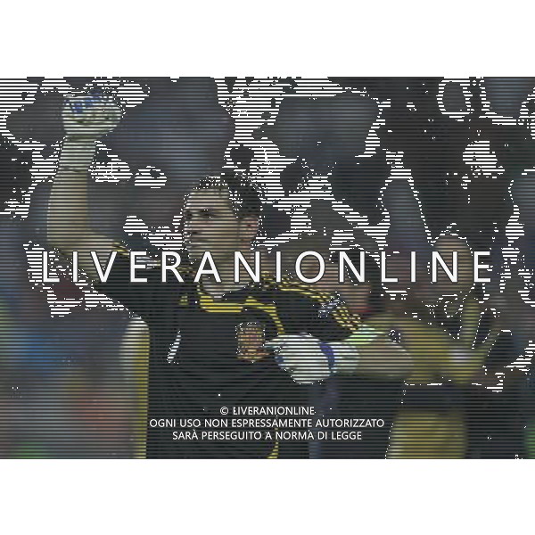 Vienna (AUT) 26-06-2008 Campionato europeo calcio EURO2008 semifinale russia-spagna 0:3 nella foto iker casillas esulta a fine gara ph marco luzzani/ag aldo liverani s.a.s.