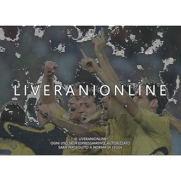 Vienna (AUT) 26-06-2008 Campionato europeo calcio EURO2008 semifinale russia-spagna 0:3 nella foto spagna esulta a fine gara ph marco luzzani/ag aldo liverani s.a.s.