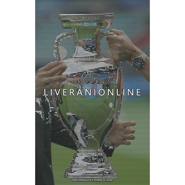 Vienna (AUT) 28-06-2008 nella foto il trofeo henry delanuay ph marco luzzani/ag aldo liverani s.a.s.