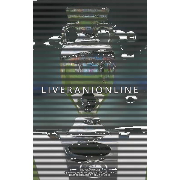 Vienna (AUT) 28-06-2008 nella foto il trofeo henry delanuay ph marco luzzani/ag aldo liverani s.a.s.