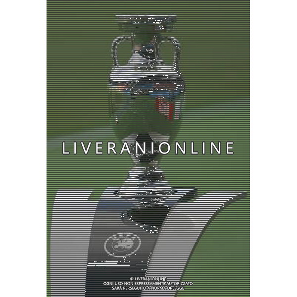 Vienna (AUT) 28-06-2008 nella foto il trofeo henry delanuay ph marco luzzani/ag aldo liverani s.a.s.