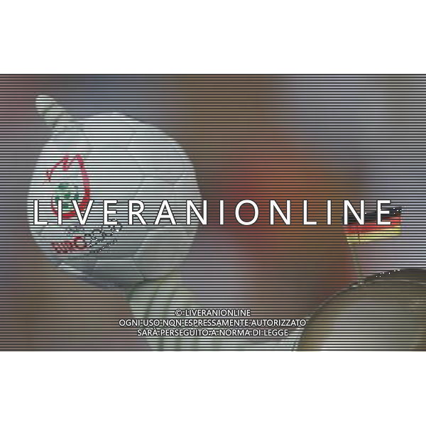 Germania - Spagna Finale Europei Vienna 29/06/2008 nella foto tifosi germania ph luzzani/Ag. Aldo Liverani Sas