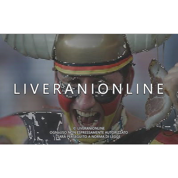 Germania - Spagna Finale Europei Vienna 29/06/2008 nella foto tifosi germania ph luzzani/Ag. Aldo Liverani Sas