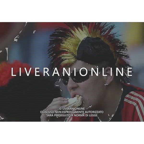 Germania - Spagna Finale Europei Vienna 29/06/2008 nella foto tifosi germania ph luzzani/Ag. Aldo Liverani Sas