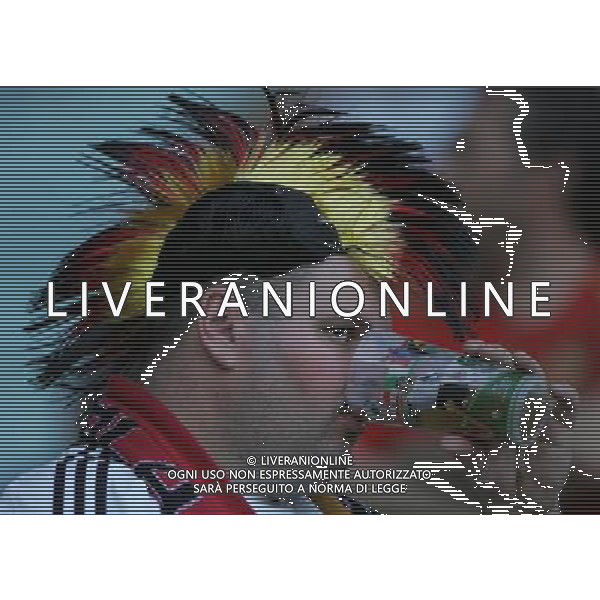 Germania - Spagna Finale Europei Vienna 29/06/2008 nella foto tifosi germania ph luzzani/Ag. Aldo Liverani Sas