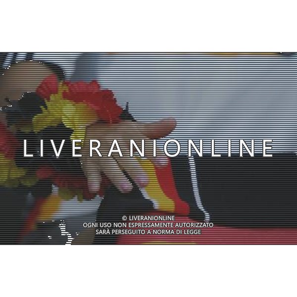 Germania - Spagna Finale Europei Vienna 29/06/2008 nella foto tifosi germania ph luzzani/Ag. Aldo Liverani Sas