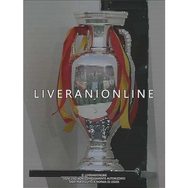 Germania - Spagna Finale Europei Vienna 29/06/2008 nella foto la coppa -il trofeo euro 2008 ph luzzani/Ag. Aldo Liverani Sas