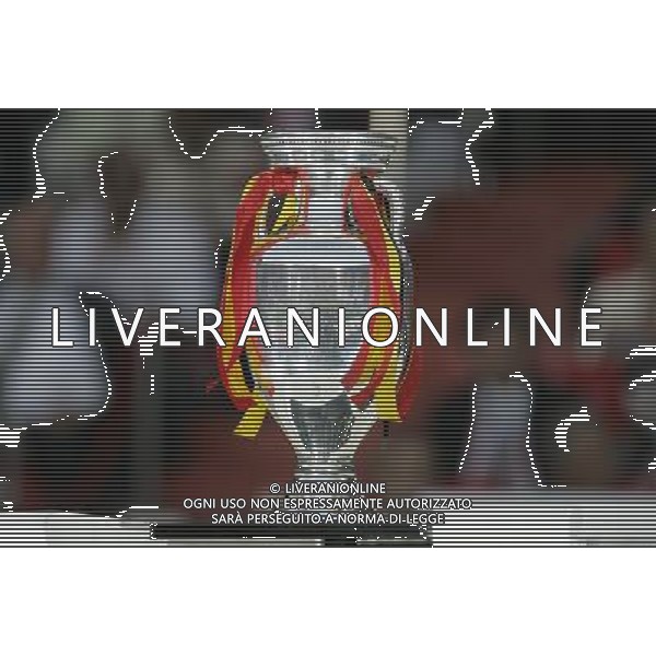 Germania - Spagna Finale Europei Vienna 29/06/2008 nella foto La Coppa -Il Trofeo Euro 2008 ph luzzani/Ag. Aldo Liverani Sas