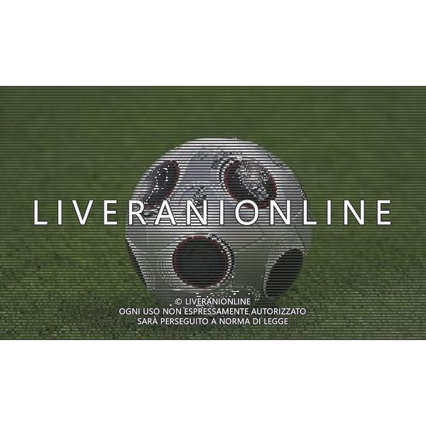 Germania - Spagna Finale Europei Vienna 29/06/2008 nella foto il pallone ph luzzani/Ag. Aldo Liverani Sas