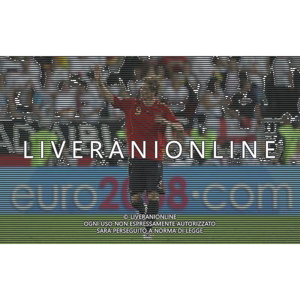 Germania - Spagna Finale Europei Vienna 29/06/2008 nella foto esultanza dopo il gol di fernando torres del 0-1 ph luzzani/Ag. Aldo Liverani Sas