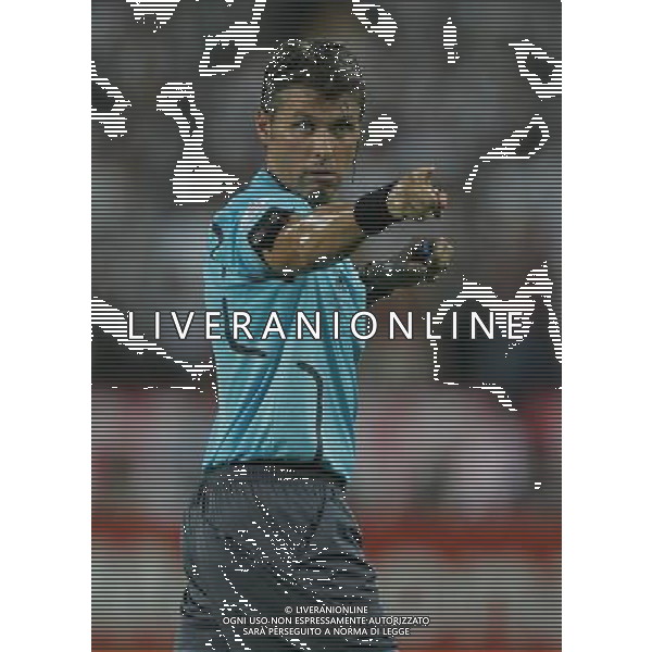 Germania - Spagna Finale Europei Vienna 29/06/2008 nella foto arbitro roberto rosetti ph luzzani/Ag. Aldo Liverani Sas