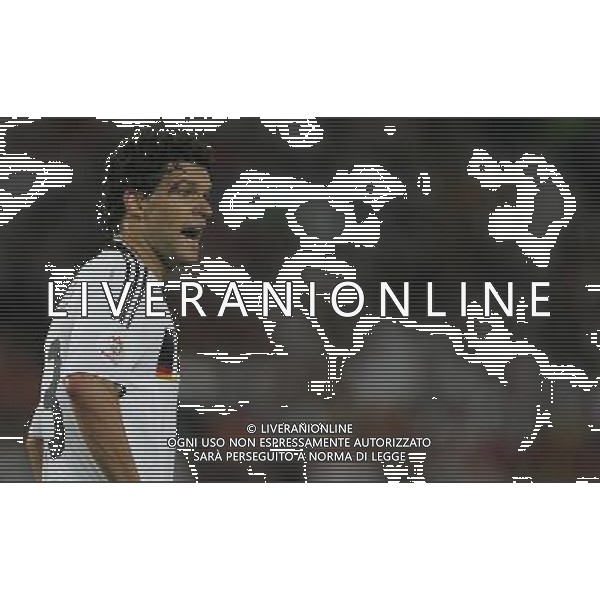 Germania - Spagna Finale Europei Vienna 29/06/2008 nella foto michael ballack ph luzzani/Ag. Aldo Liverani Sas