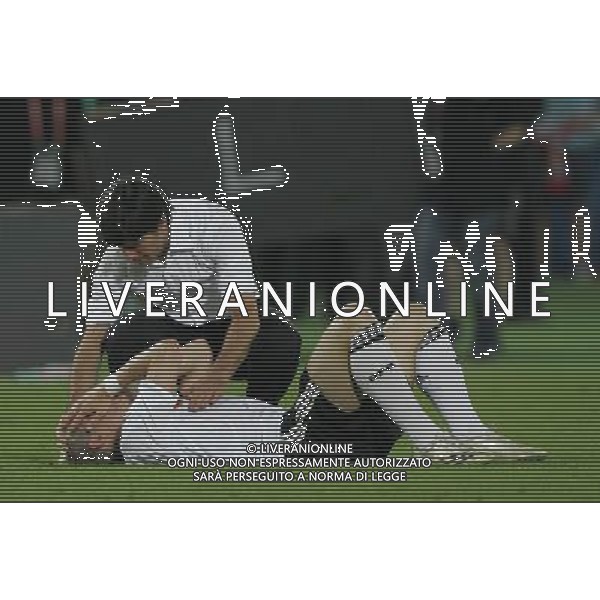 Germania - Spagna Finale Europei Vienna 29/06/2008 nella foto la delusione di joachim low che consola schweinsteiger a fine gara ph luzzani/Ag. Aldo Liverani Sas