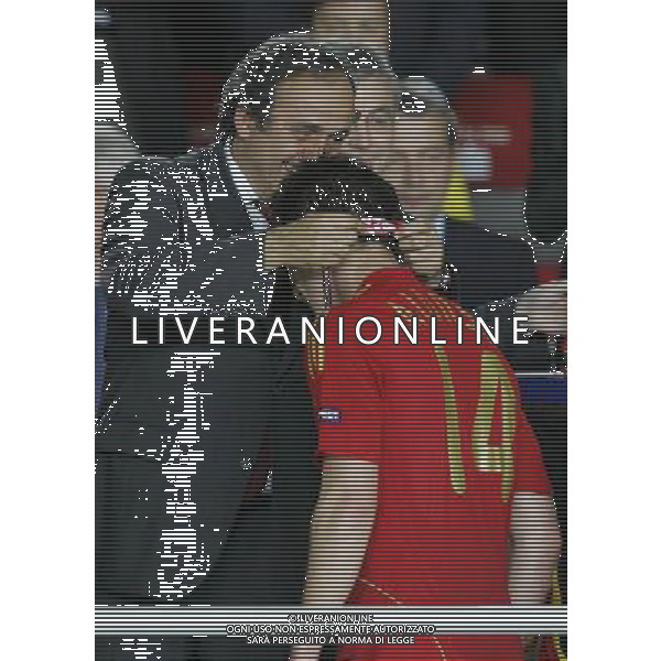 Germania - Spagna Finale Europei Vienna 29/06/2008 nella foto Michel Platini che premia xabi alonso ph luzzani/Ag. Aldo Liverani Sas