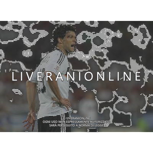 Vienna (AUT) 29-06-2008 Campionato europeo calcio EURO2008 FINALE germania-spagna 0:1 nella foto michael ballack ph marco luzzani/ag aldo liverani s.a.s.