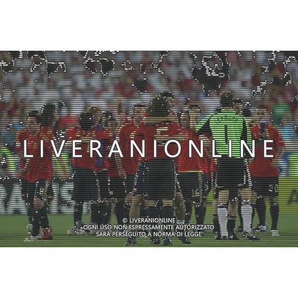 Vienna (AUT) 29-06-2008 Campionato europeo calcio EURO2008 FINALE germania-spagna 0:1 nella foto esultanza spagna a fine gara ph marco luzzani/ag aldo liverani s.a.s.