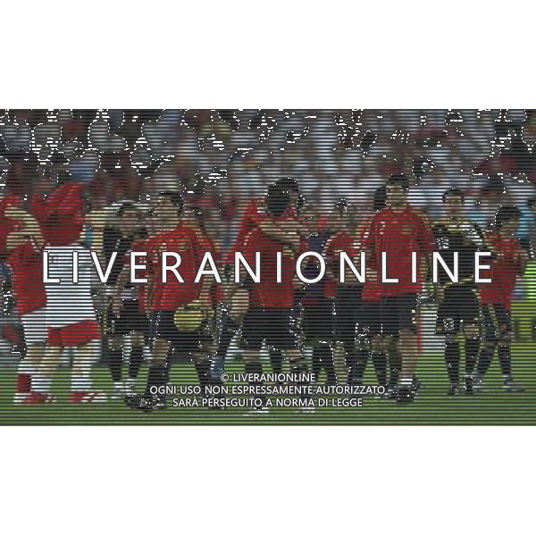 Vienna (AUT) 29-06-2008 Campionato europeo calcio EURO2008 FINALE germania-spagna 0:1 nella foto esultanza spagna a fine gara ph marco luzzani/ag aldo liverani s.a.s.