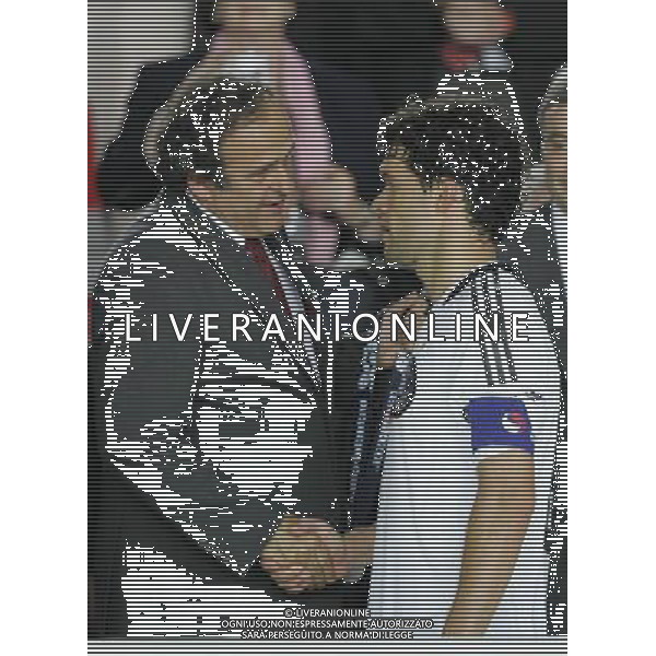 Vienna (AUT) 29-06-2008 Campionato europeo calcio EURO2008 FINALE germania-spagna 0:1 nella foto michel platini e michael ballack ph marco luzzani/ag aldo liverani s.a.s.