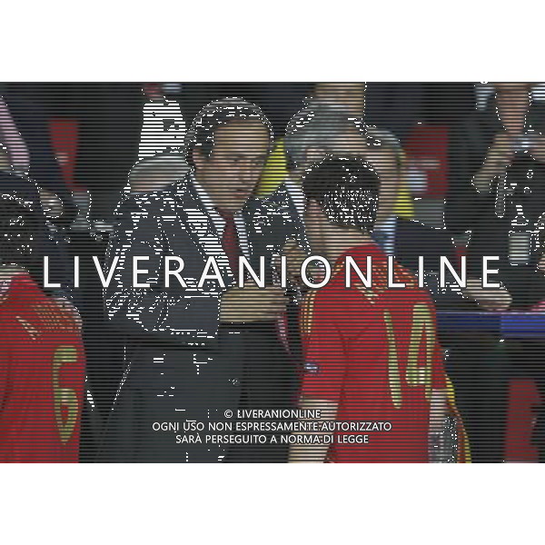 Vienna (AUT) 29-06-2008 Campionato europeo calcio EURO2008 FINALE germania-spagna 0:1 nella foto michel platini e xabi alonso ph marco luzzani/ag aldo liverani s.a.s.