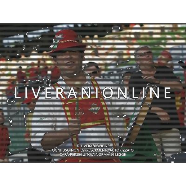 Vienna (AUT) 29-06-2008 Campionato europeo calcio EURO2008 FINALE germania-spagna 0:1 nella foto tifo spagna ph marco luzzani/ag aldo liverani s.a.s.