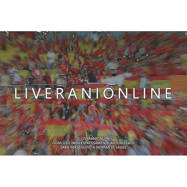 Vienna (AUT) 29-06-2008 Campionato europeo calcio EURO2008 FINALE germania-spagna 0:1 nella foto tifo spagna ph marco luzzani/ag aldo liverani s.a.s.