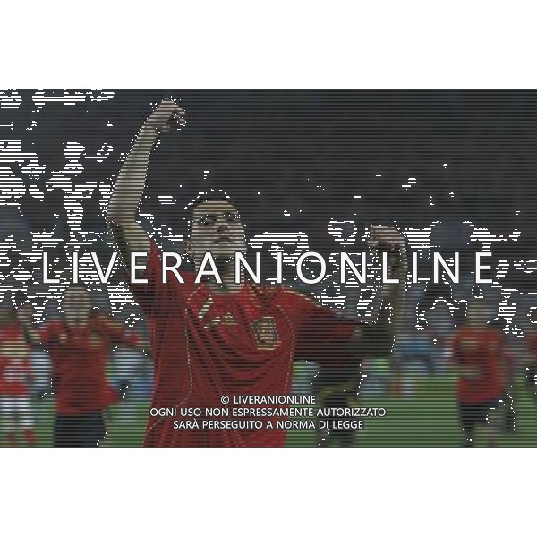 Vienna (AUT) 29-06-2008 Campionato europeo calcio EURO2008 FINALE germania-spagna 0:1 nella foto daniel guiza esulta a fine gara ph marco luzzani/ag aldo liverani s.a.s.