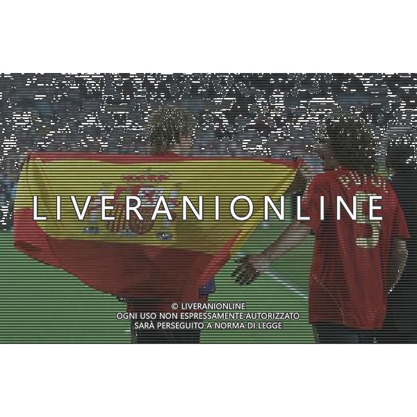 Vienna (AUT) 29-06-2008 Campionato europeo calcio EURO2008 FINALE germania-spagna 0:1 nella foto fernando torres e carles puyol ph marco luzzani/ag aldo liverani s.a.s.