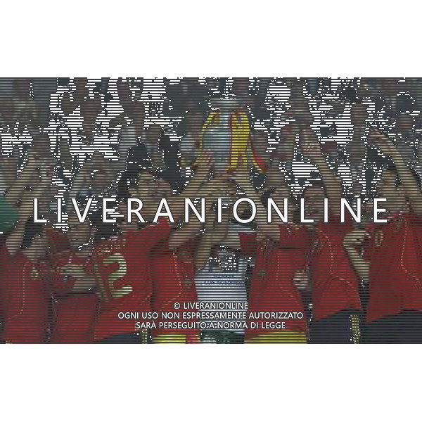 Vienna (AUT) 29-06-2008 Campionato europeo calcio EURO2008 FINALE germania-spagna 0:1 nella foto i giocatori della spagna festeggiano dopo la premiazione ph marco luzzani/ag aldo liverani s.a.s.