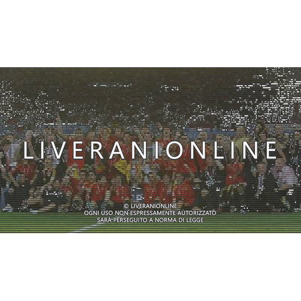 Vienna (AUT) 29-06-2008 Campionato europeo calcio EURO2008 FINALE germania-spagna 0:1 nella foto i giocatori della spagna festeggiano dopo la premiazione ph marco luzzani/ag aldo liverani s.a.s.