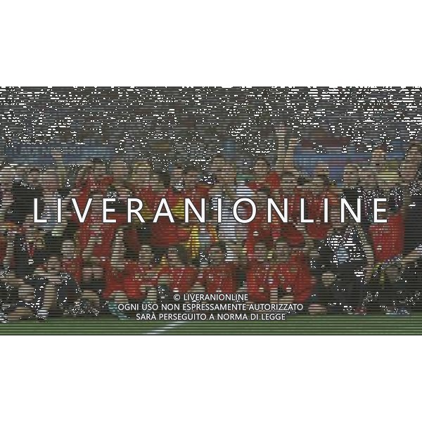 Vienna (AUT) 29-06-2008 Campionato europeo calcio EURO2008 FINALE germania-spagna 0:1 nella foto i giocatori della spagna festeggiano dopo la premiazione ph marco luzzani/ag aldo liverani s.a.s.