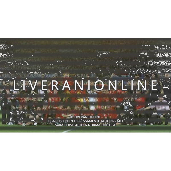 Vienna (AUT) 29-06-2008 Campionato europeo calcio EURO2008 FINALE germania-spagna 0:1 nella foto i giocatori della spagna festeggiano dopo la premiazione ph marco luzzani/ag aldo liverani s.a.s.