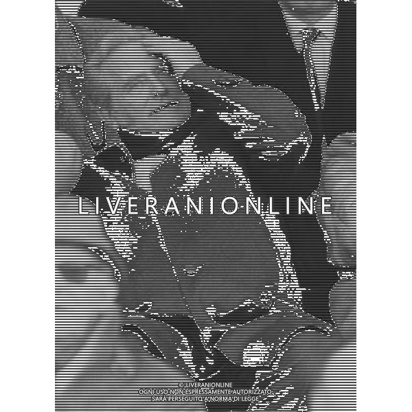 GIAMPIERO BONIPERTI EX CALCIATORE ARCHIVIO AG. ALDO LIVERANI RETROSPETTIVA