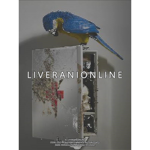 03. Nulla  come appare 2006 h 58 x 43 x 18,5 cm ceramica policroma FOTO SORANO /LIVERANI SAS