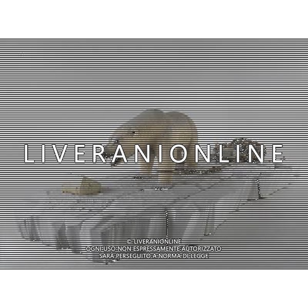 05. Composizione in bianco 2005-2007 h 1,5 x 6 x 3 m ceramica policroma e bronzo FOTO SORANO /LIVERANI SAS